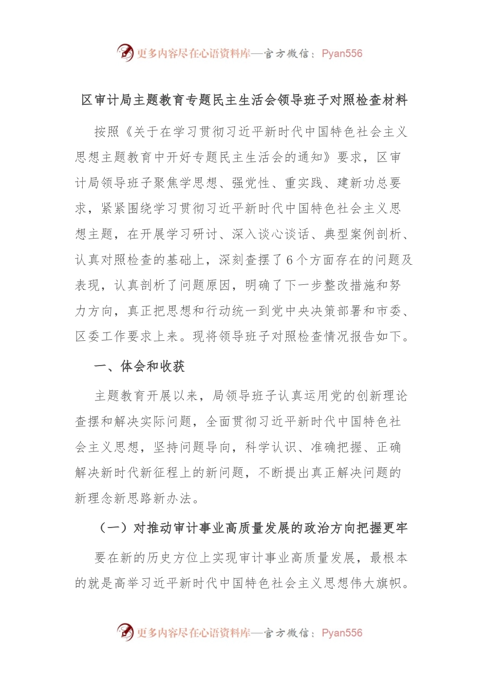 区审计局主题教育专题民主生活会领导班子对照检查材料.docx_第1页