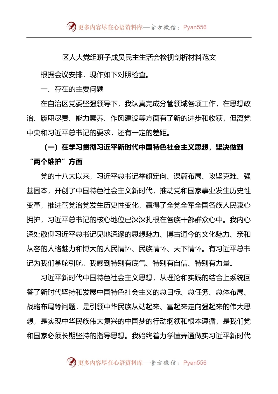 区人大党组班子成员民主生活会检视剖析材料.docx_第1页