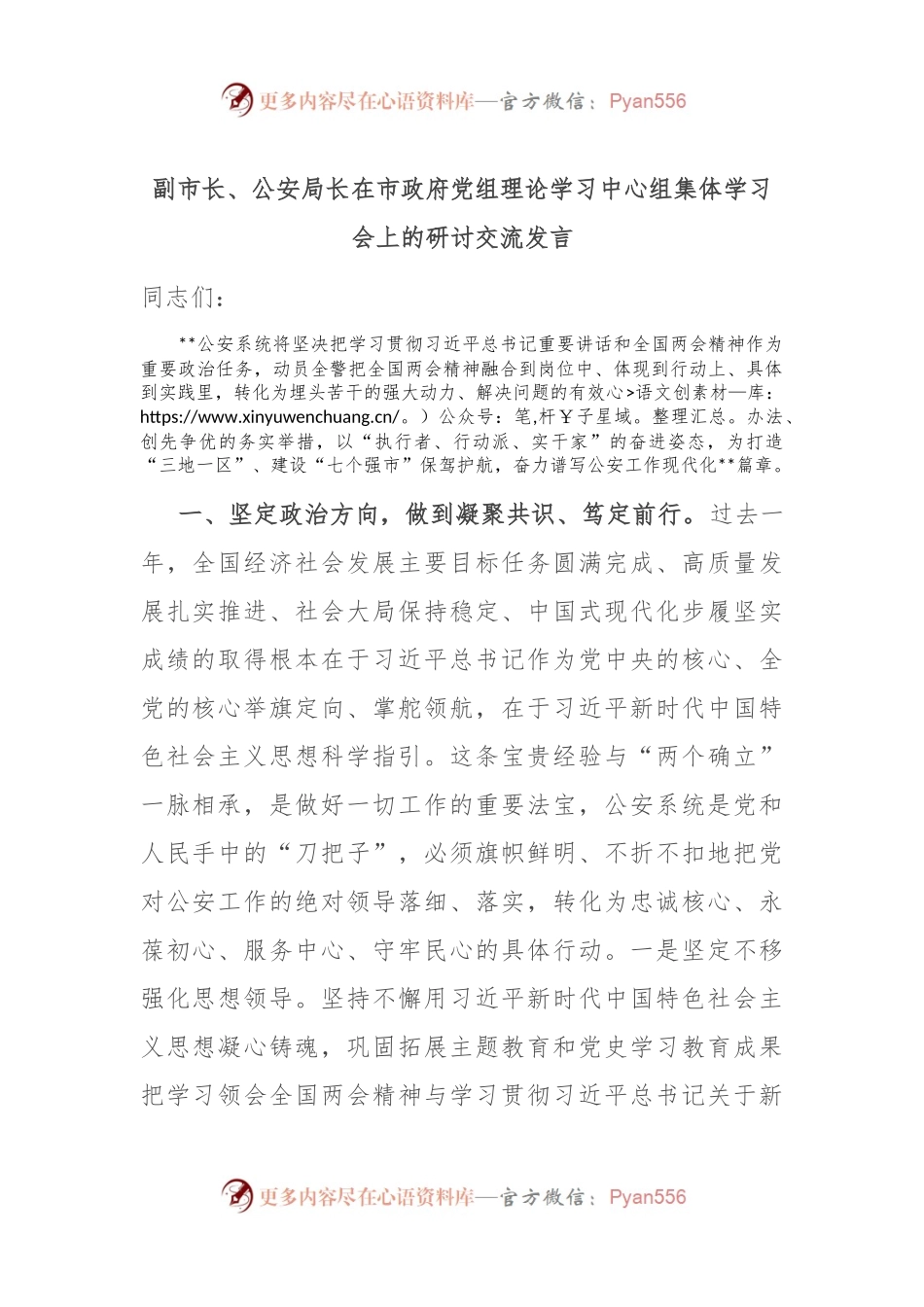 副市长、公安局长在市政府党组理论学习中心组集体学习会上的研讨交流发言.docx_第1页