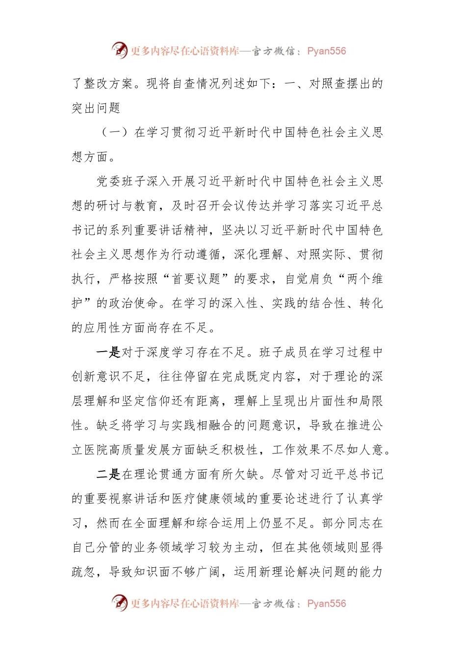 医院班子2023年民主生活会对照检查材料.docx_第2页