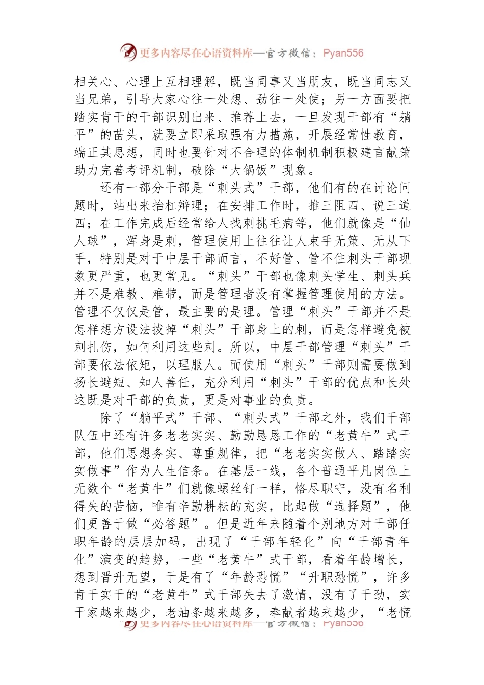 关于中层干部的研讨发言.docx_第2页