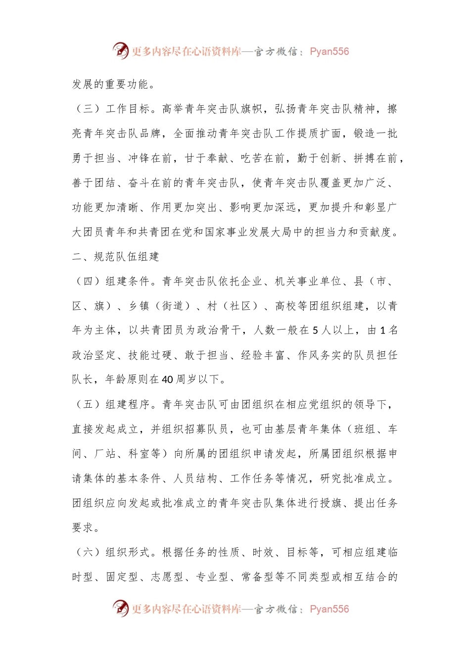 关于加强新时代青年突击队工作的意见.docx_第2页