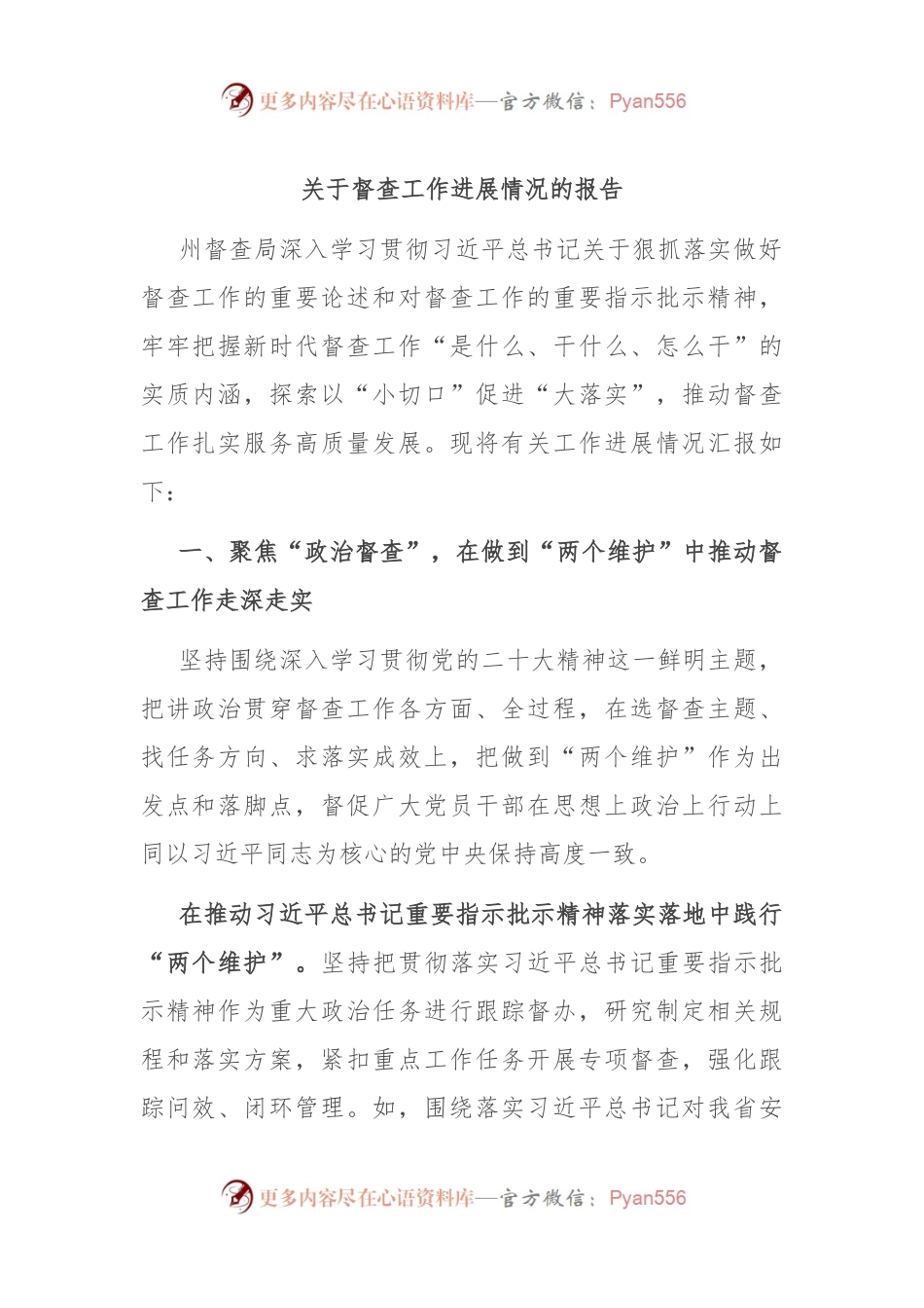 关于督查工作进展情况的报告.docx_第1页