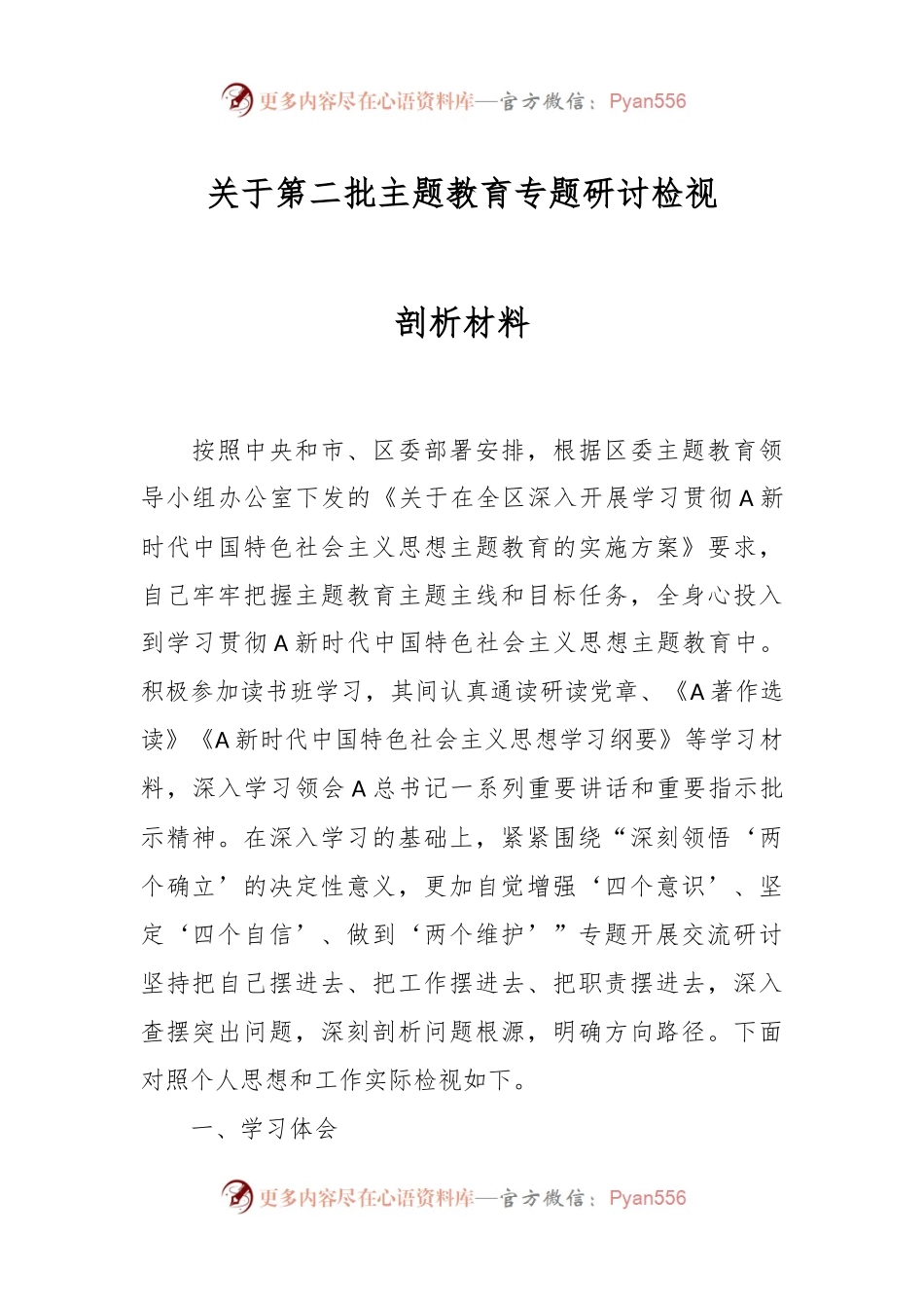 关于第二批主题教育专题研讨检视剖析材料.docx_第1页