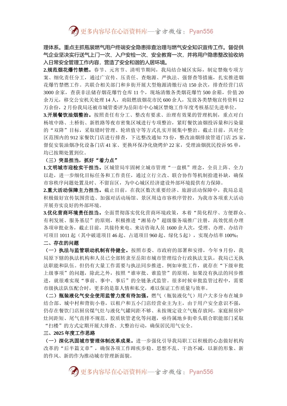 区城市管理局2024年度工作总结及2025年工作思路.docx_第2页