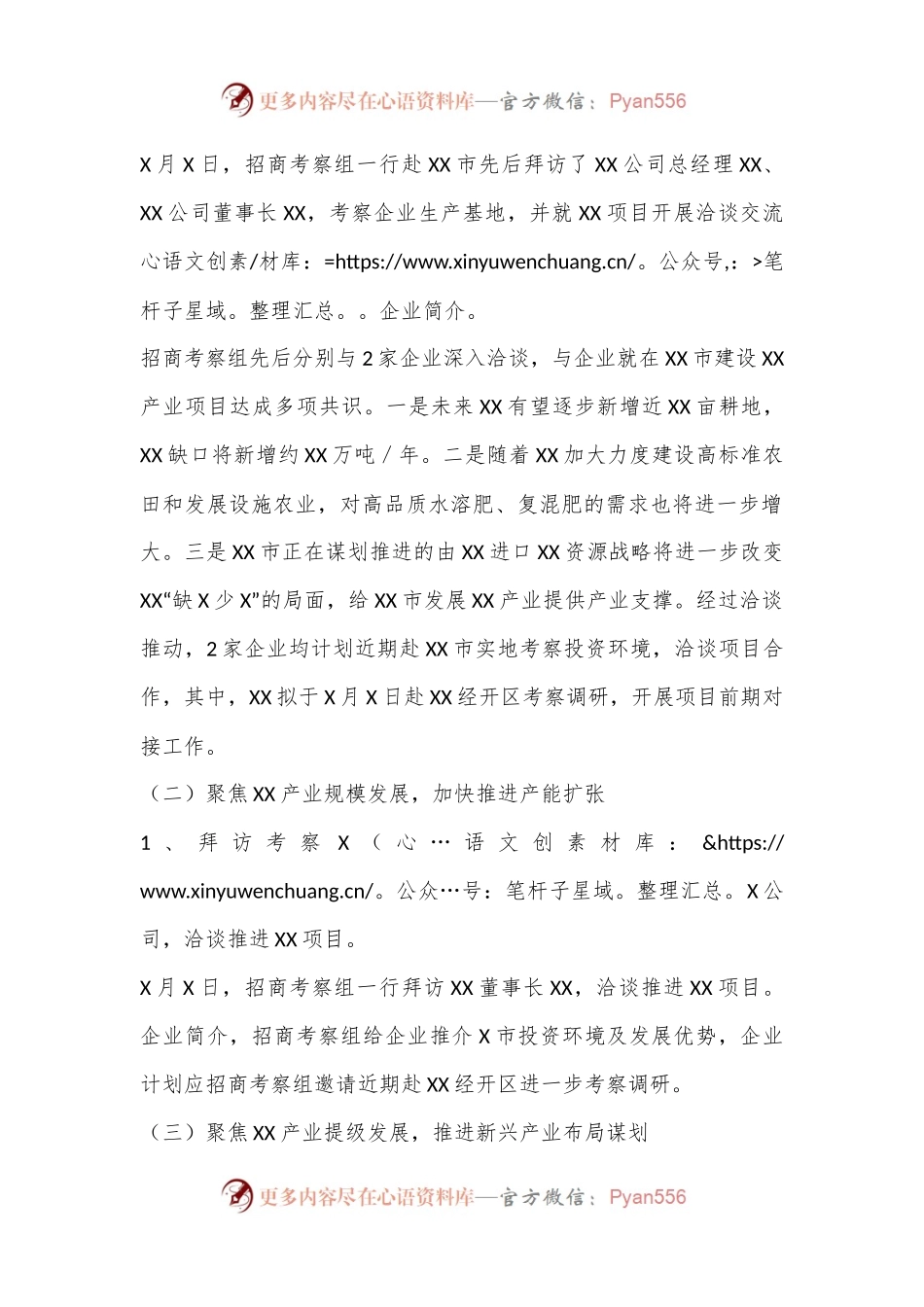 关于xx市领导外出招商引资考察的专题报告.docx_第2页