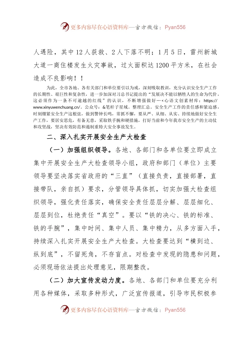 关于贯彻落实XXX市长在全市安全生产大检查电视电话会议上的讲话精神的通知.docx_第2页