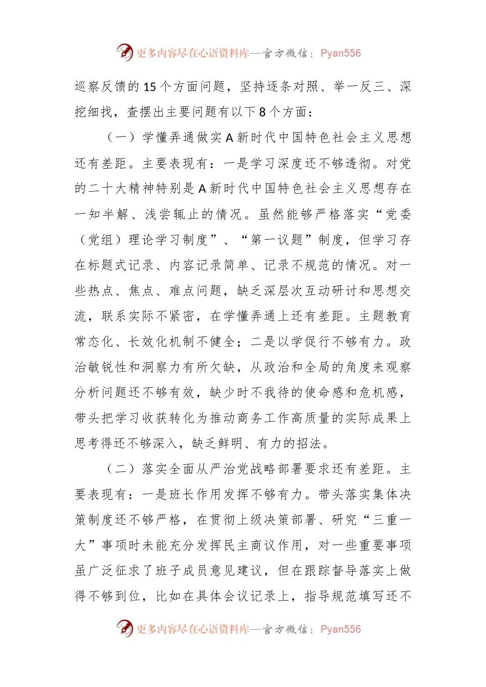 关于巡视反馈问题整改专题民主生活会对照检查.docx_第2页