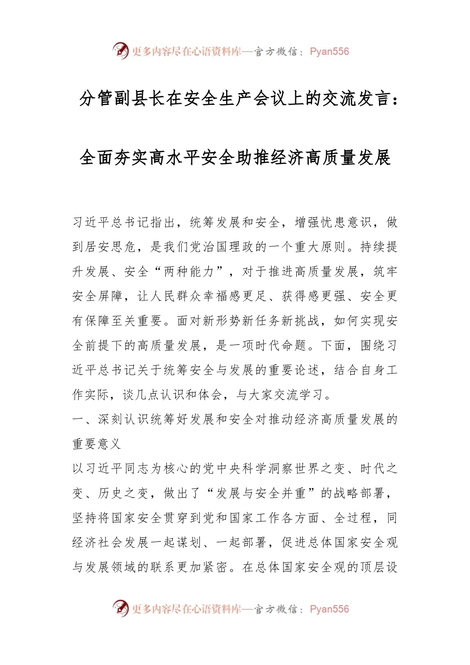 分管副县长在安全生产会议上的交流发言：全面夯实高水平安全助推经济高质量发展.docx_第1页