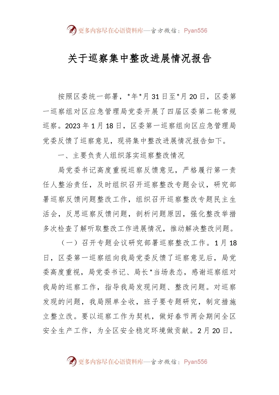 关于巡察集中整改进展情况报告.docx_第1页