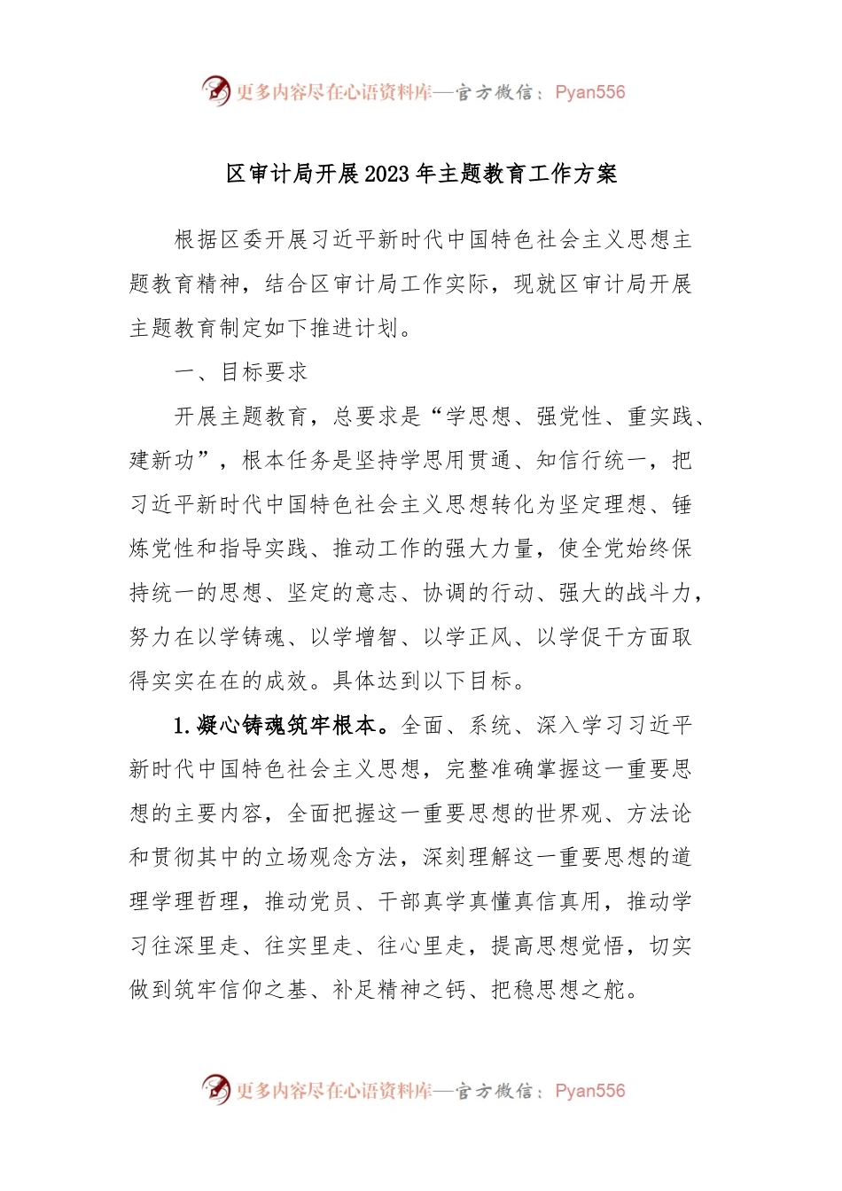 区审计局开展2023年主题教育工作方案.docx_第1页