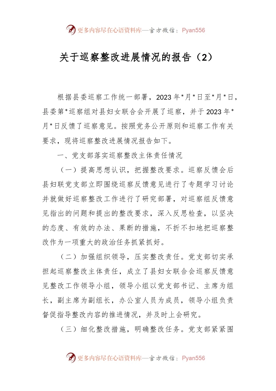 关于巡察整改进展情况的报告（2）.docx_第1页