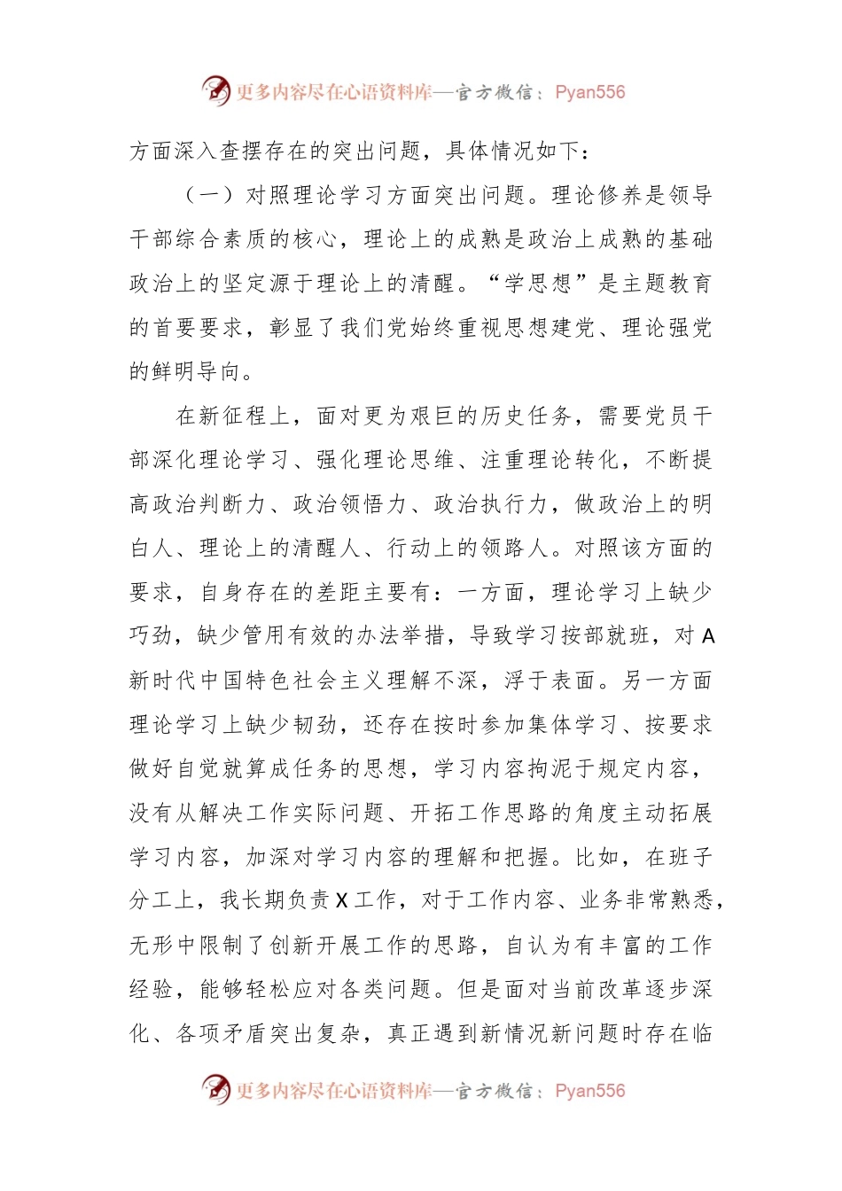 副职领导在2023年主题教育专题民主生活会对照检查剖析材料.docx_第2页