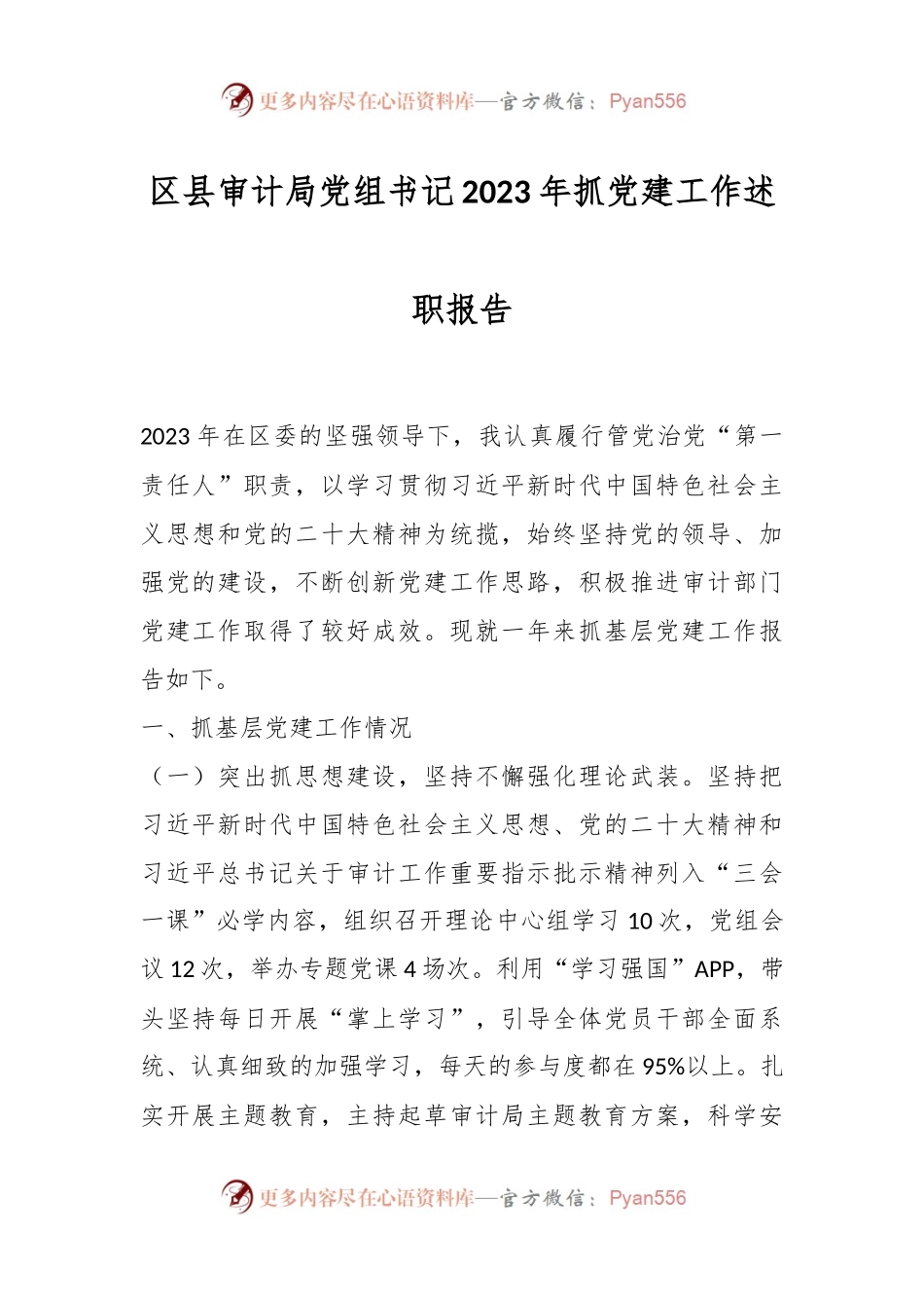 区县审计局党组书记2023年抓党建工作述职报告.docx_第1页