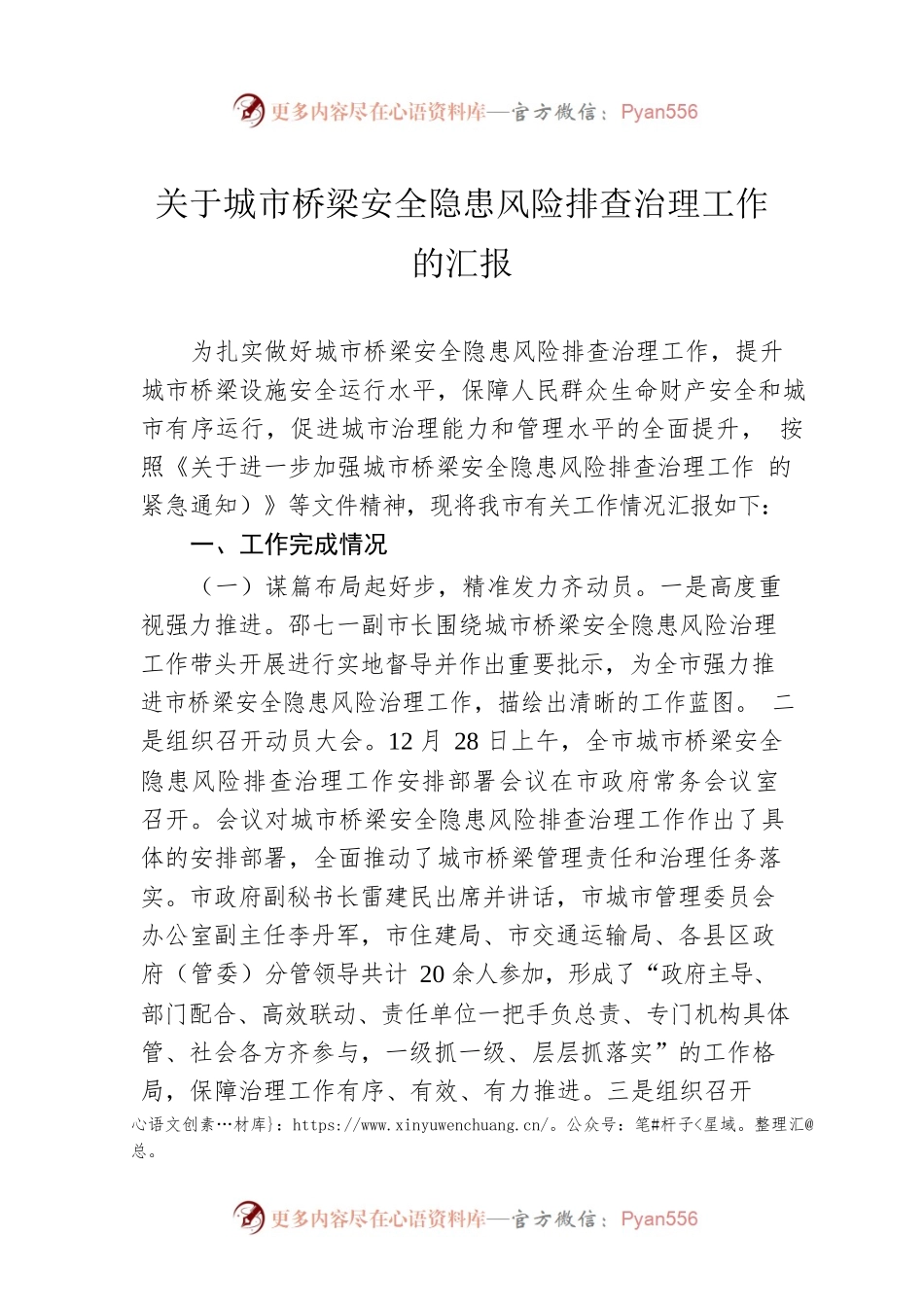 关于城市桥梁安全隐患风险排查治理工作的汇报.docx_第1页