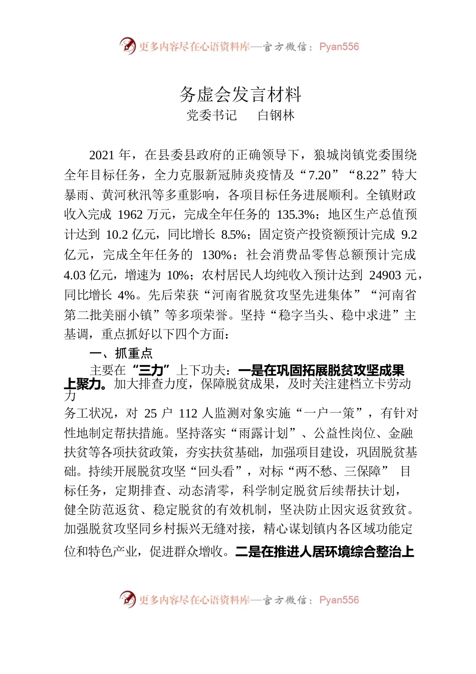 务虚会发言材料.docx_第1页