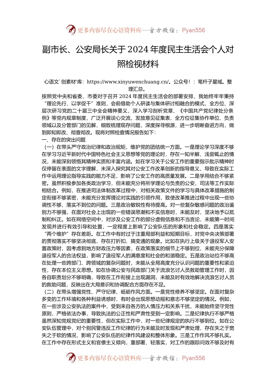 副市长、公安局长关于2024年度民主生活会个人对照检视材料.docx_第1页