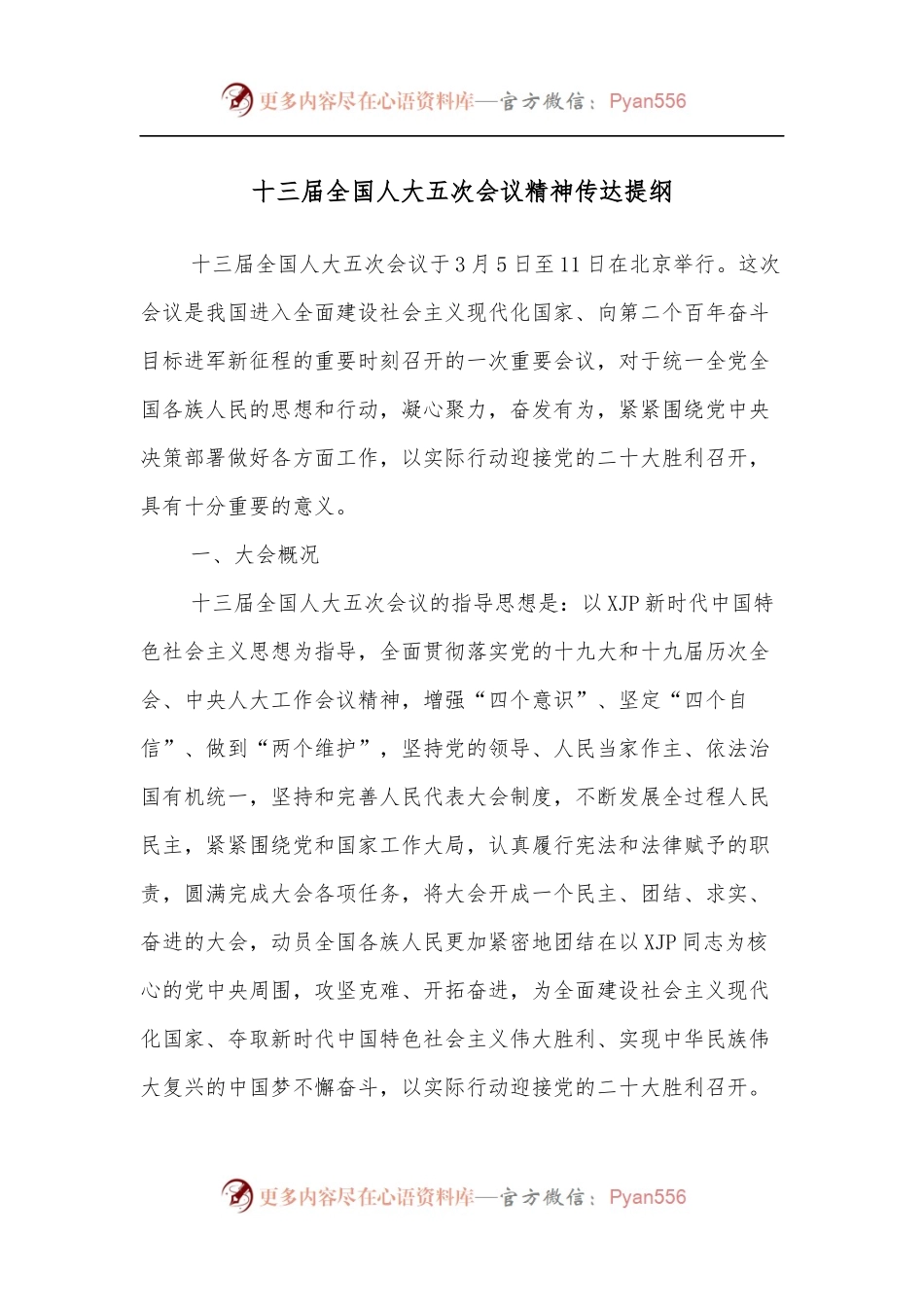 十三届全国人大五次会议精神传达提纲.docx_第1页