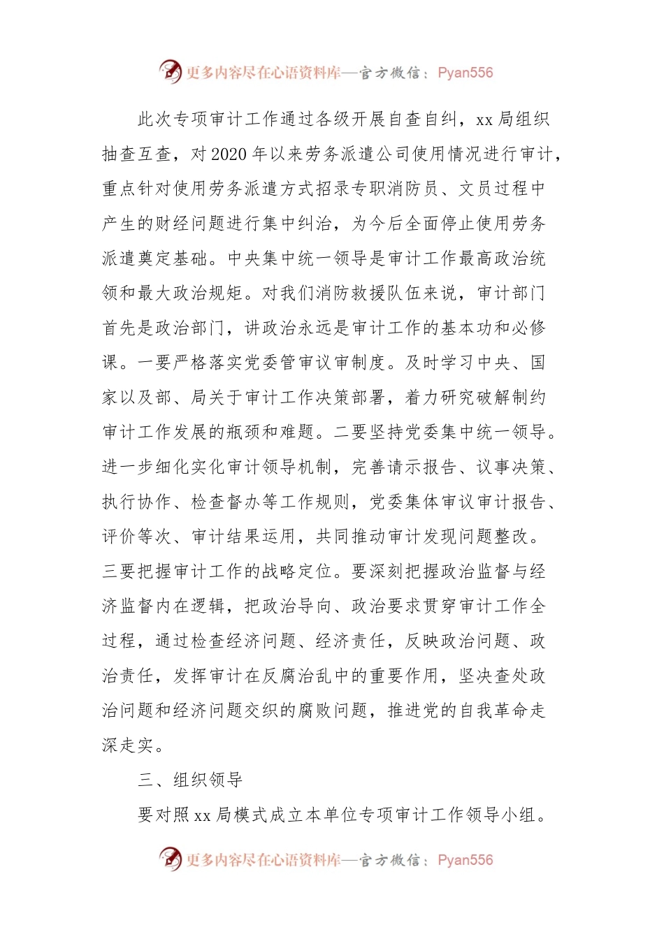 劳务派遣专项审计工作方案.docx_第2页