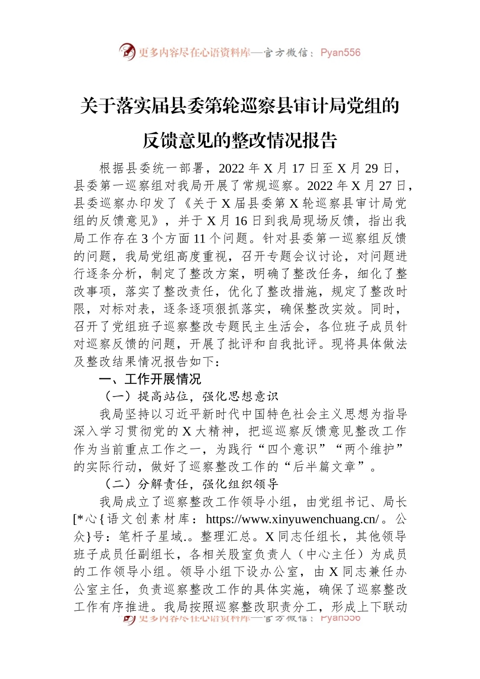 关于落实届县委第轮巡察县审计局党组的反馈意见的整改情况报告.docx_第1页