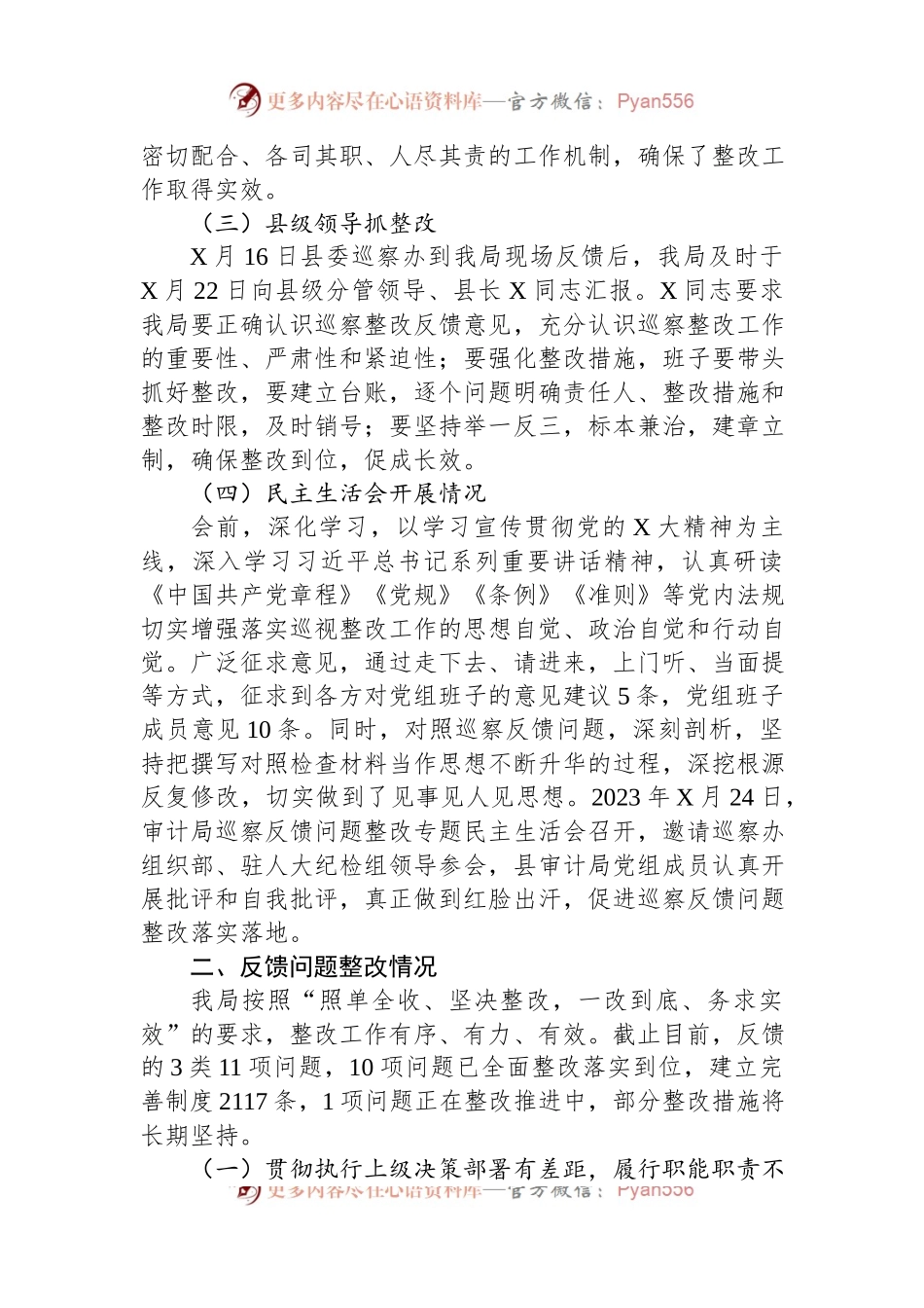 关于落实届县委第轮巡察县审计局党组的反馈意见的整改情况报告.docx_第2页