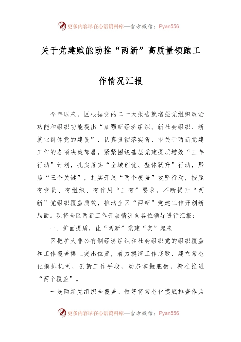 关于党建赋能助推“两新”高质量领跑工作情况汇报.docx_第1页