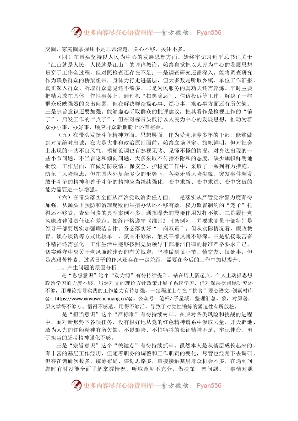 副市长、公安局局长2022年度民主生活会“六个带头”个人对照检查材料.docx_第2页