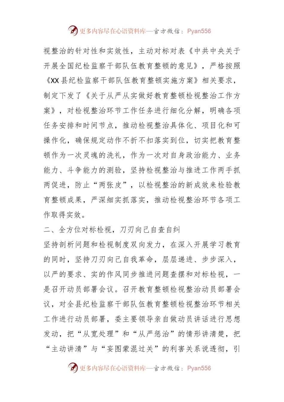 关于某县纪委监委纪检监察干部队伍教育整顿检视整治环节工作汇报.docx_第2页