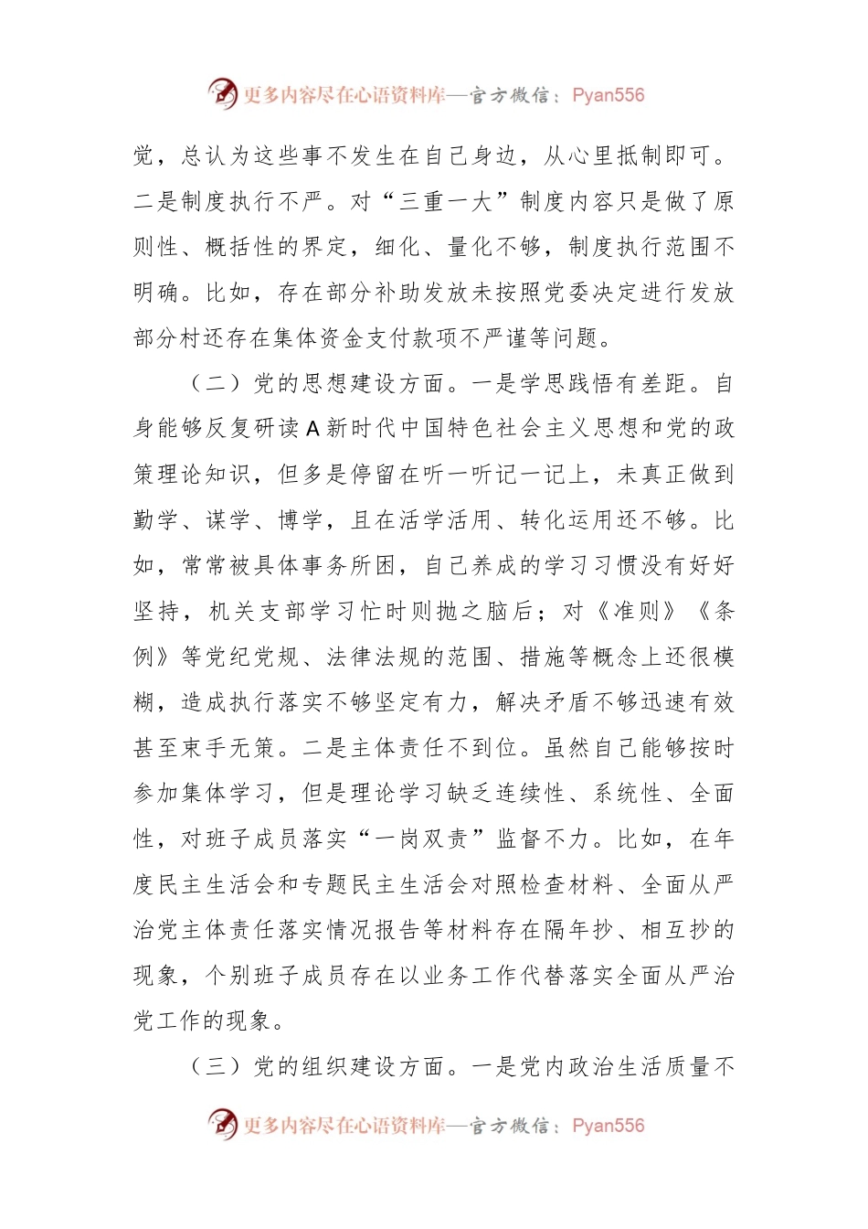 关于巡察反馈问题整改专民主生活会个人检视剖析.docx_第2页