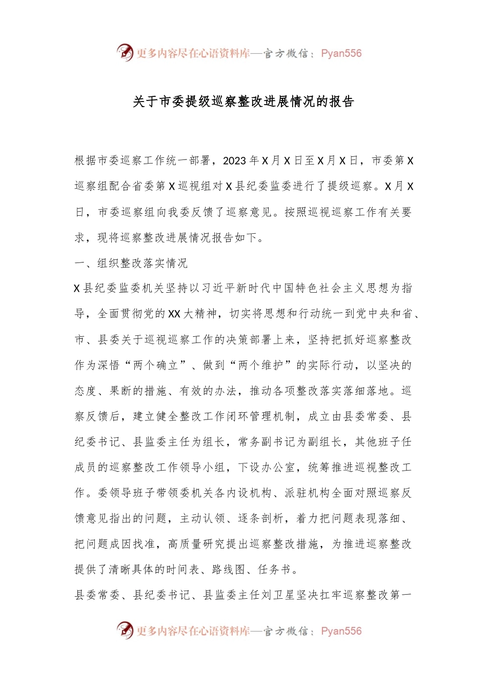 关于市委提级巡察整改进展情况的报告.docx_第1页