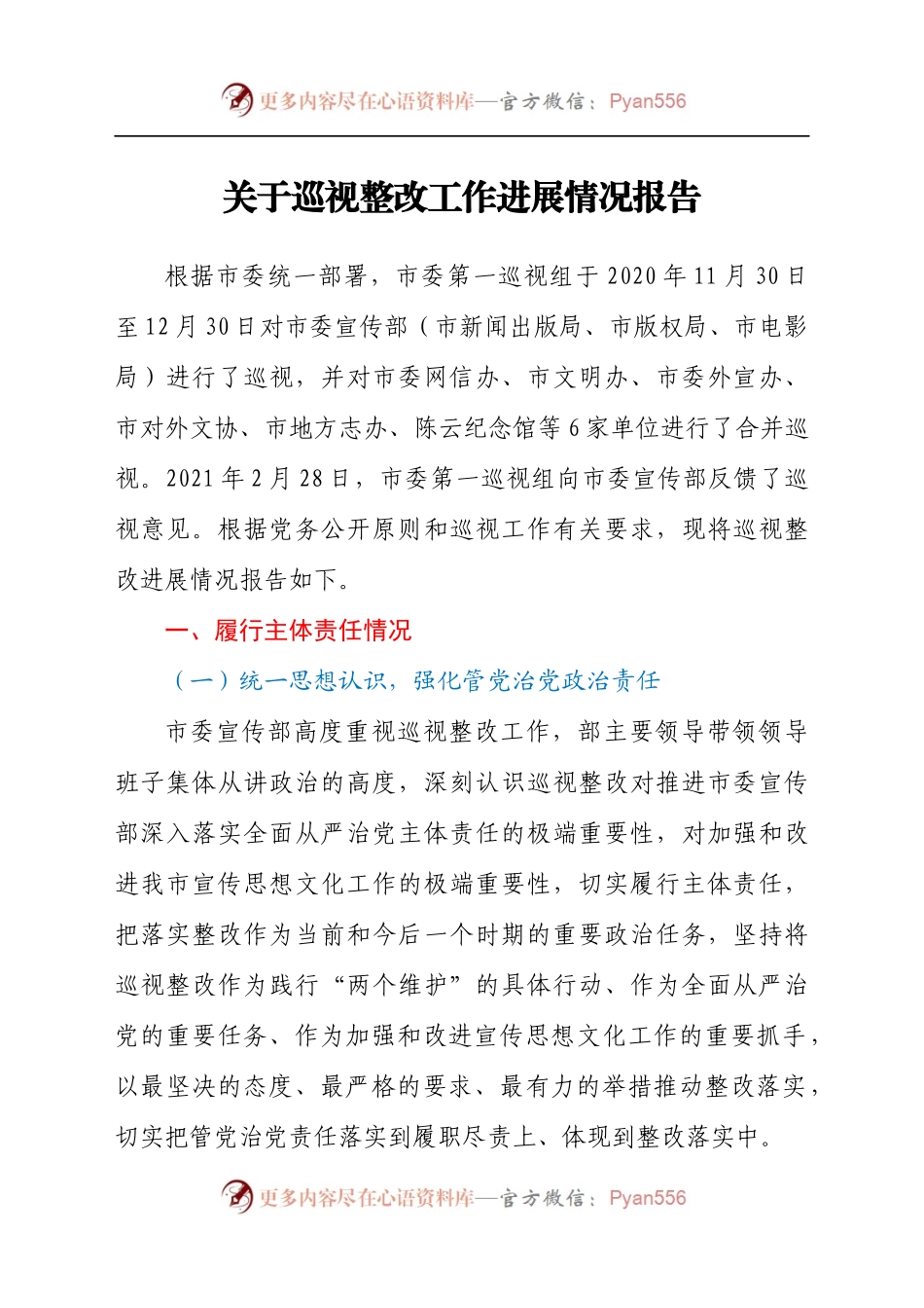 关于巡视整改工作进展情况报告.docx_第1页