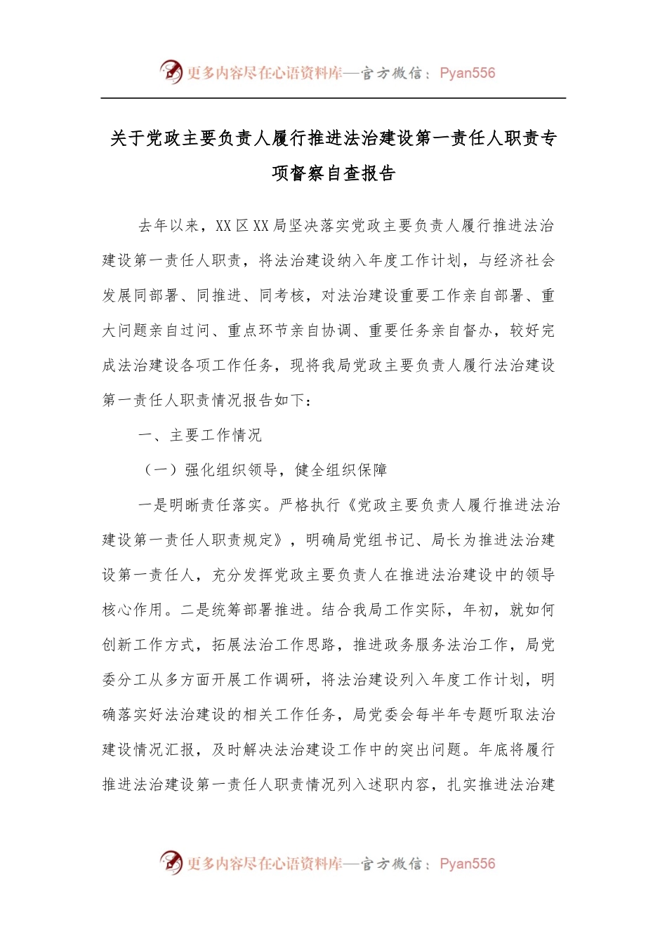 关于党政主要负责人履行推进法治建设第一责任人职责专项督察自查报告.docx_第1页