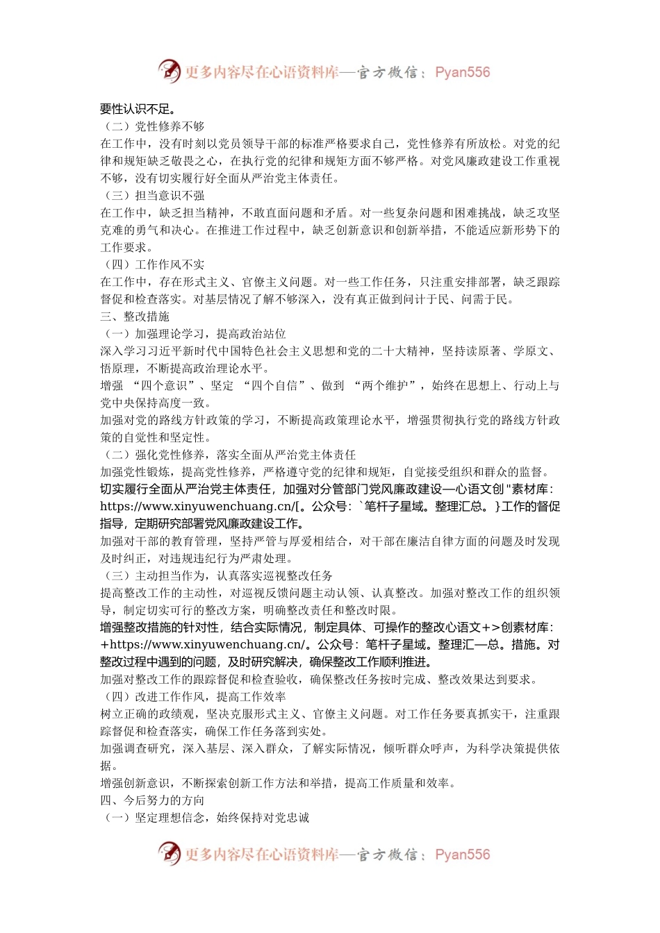 副市长巡视整改专题民主生活会个人发言提纲.docx_第2页