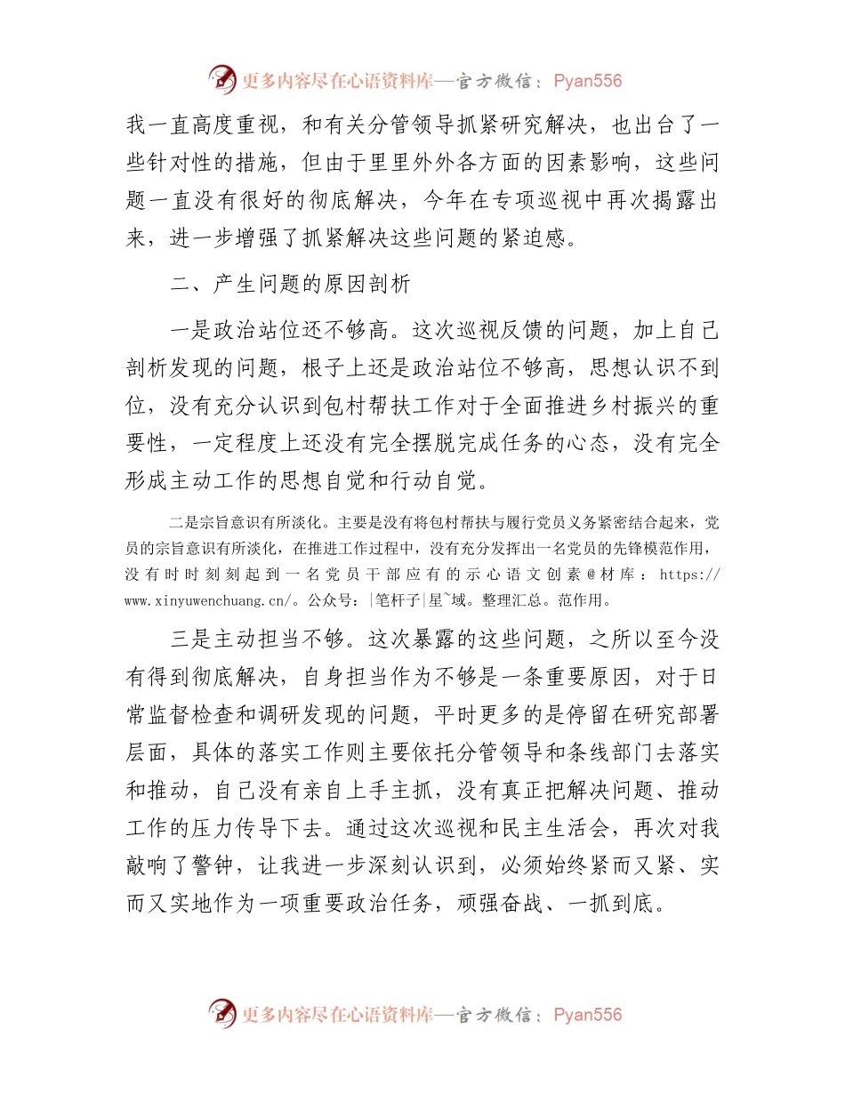 包村帮扶领导巡视整改民主生活会发言材料.docx_第2页