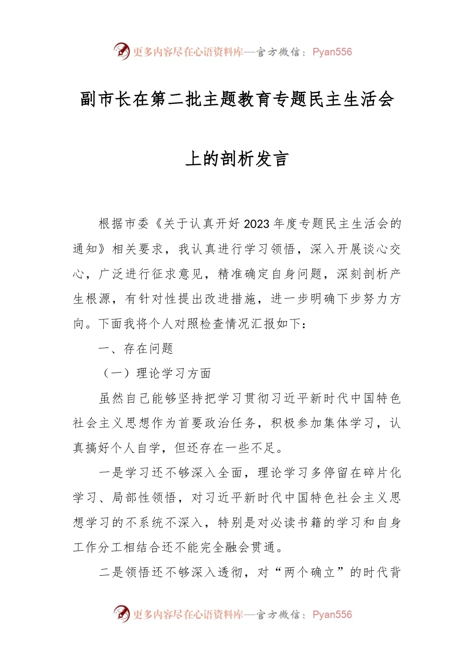 副市长在第二批主题教育专题民主生活会上的剖析发言稿.docx_第1页