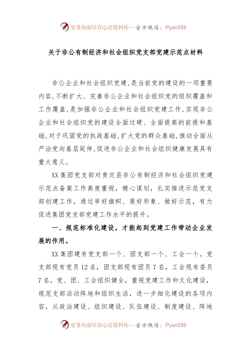 关于非公有制经济和社会组织党支部党建示范点材料.docx_第1页