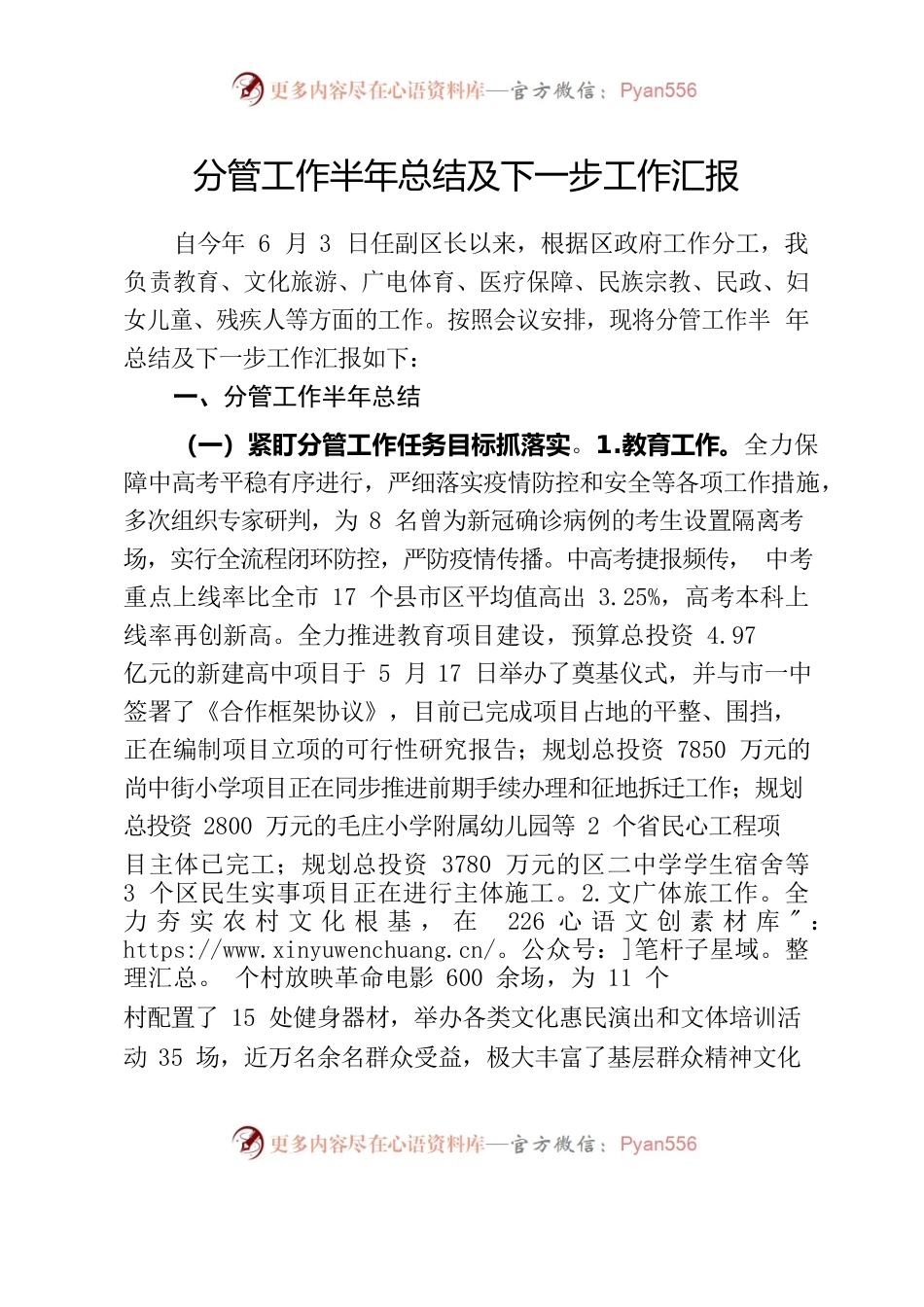 分管工作半年总结及下一步工作汇报.docx_第1页