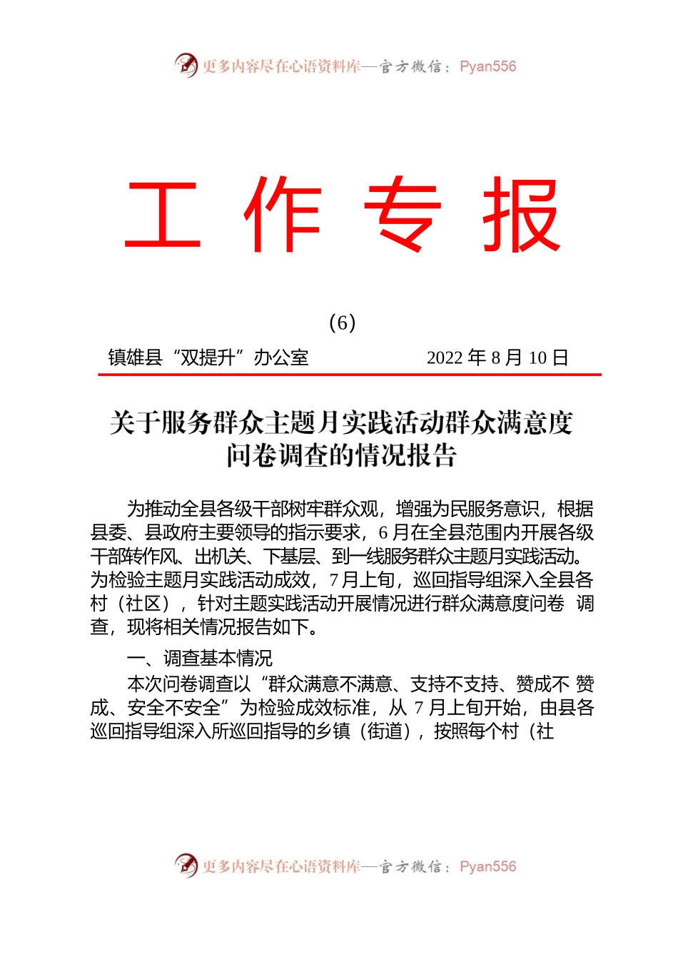 关于服务群众主题月实践活动群众满意度问卷调查的情况报告.docx_第1页