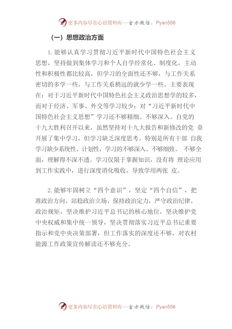 农村能源服务中心党支部组织生活会领导班子对照检查材料.docx_第2页