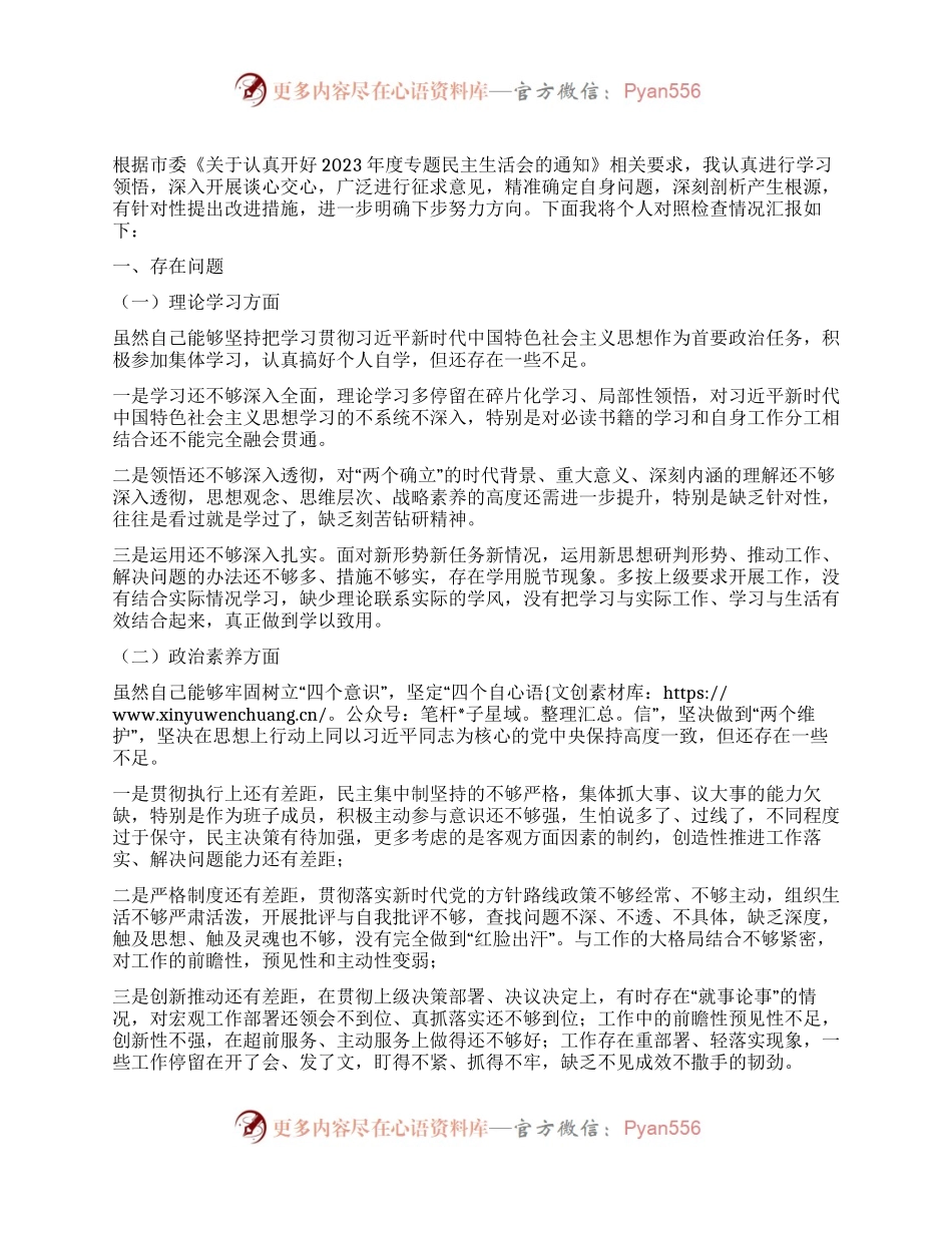 副市长在第二批主题教育专题民主生活会上的剖析发言.docx_第1页