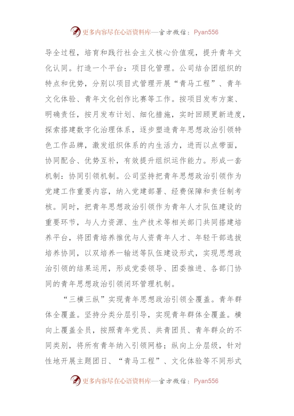 国企在青年人才队伍建设工作座谈会上的交流发言.docx_第2页