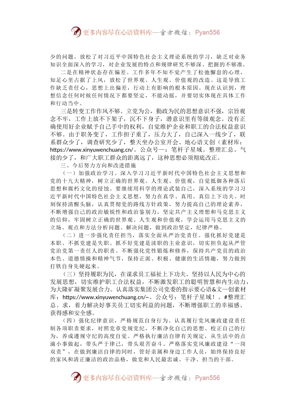 国企班子成员2019年“不忘初心、牢记使命”主题教育专题民主生活会检视剖析材料.docx_第2页