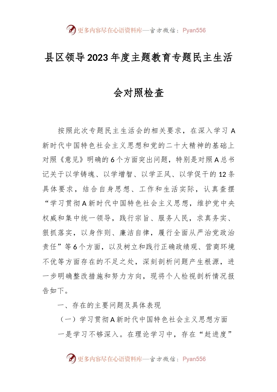 县区领导2023年度主题教育专题民主生活会对照检查.docx_第1页