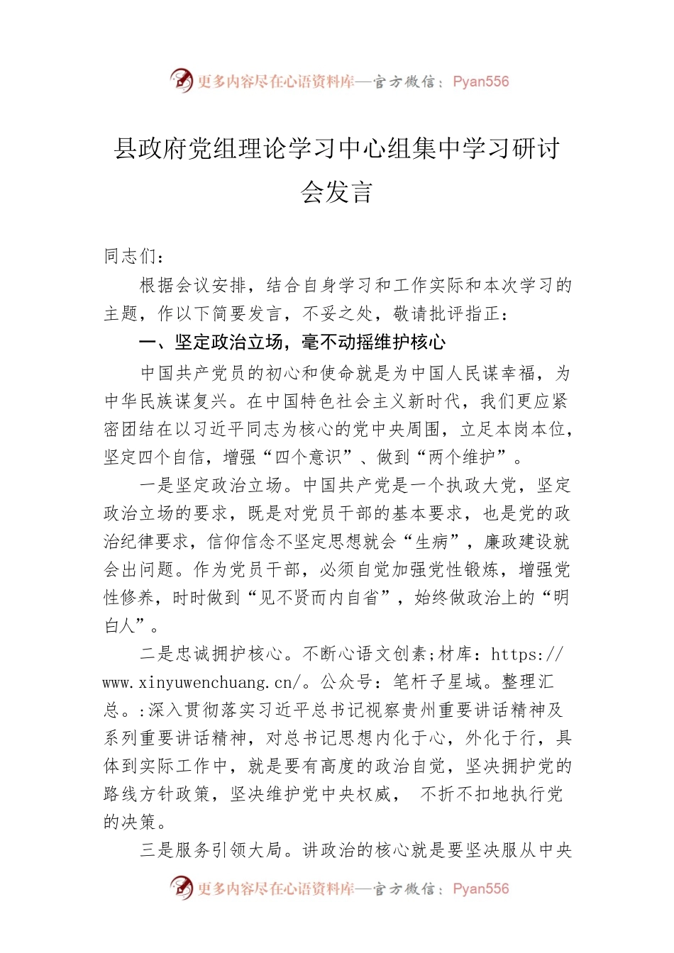 县政府党组理论学习中心组集中学习研讨会发言.docx_第1页