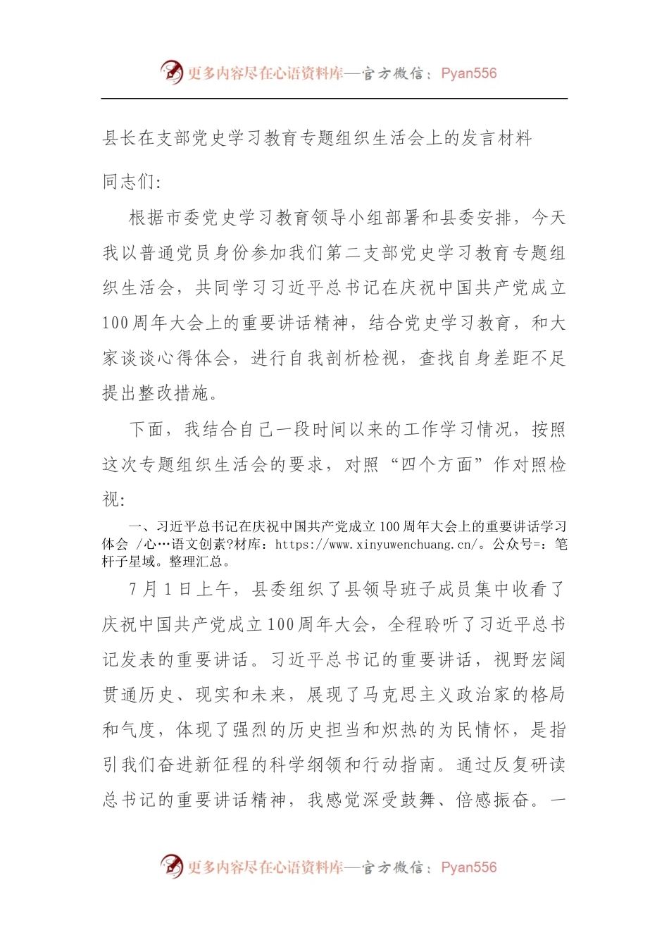 县长在支部党史学习教育专题组织生活会上的发言材料（5）.docx_第1页