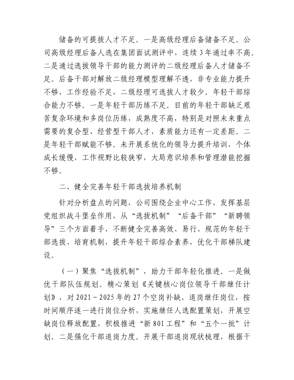 国企（公司）干部年轻化工作调研报告.docx_第2页