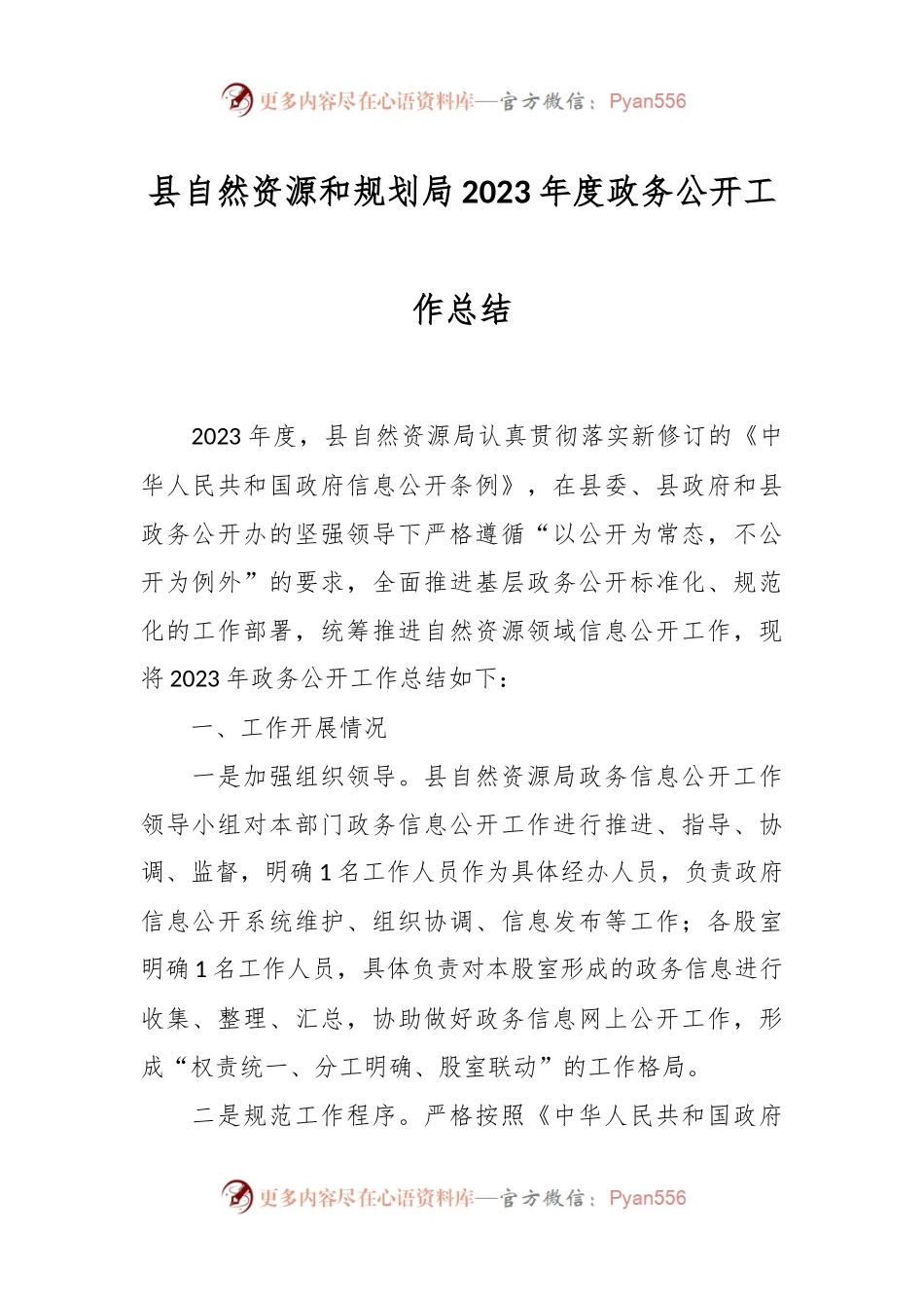 县自然资源和规划局2023年度政务公开工作总结.docx_第1页