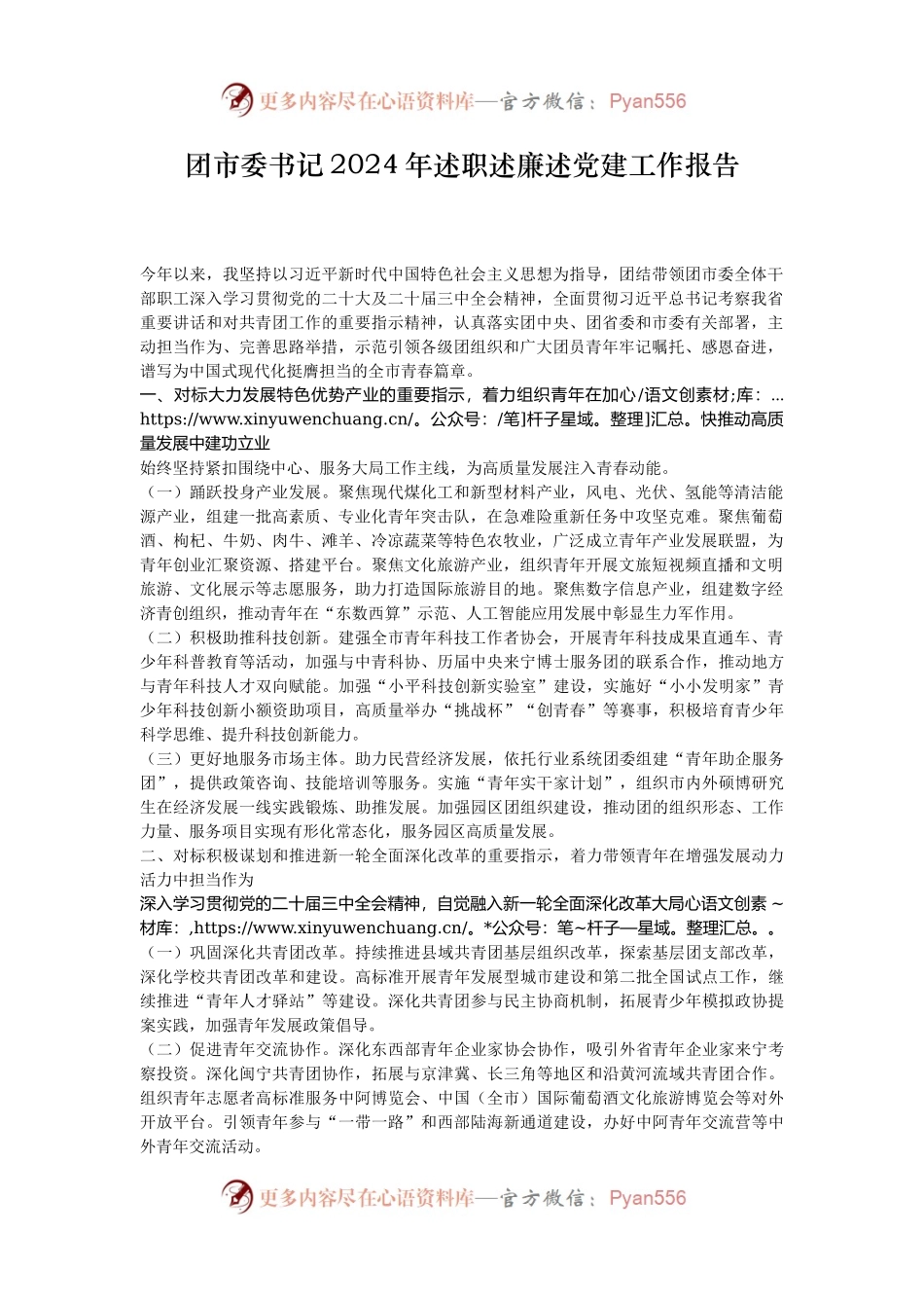 团市委书记2024年述职述廉述党建工作报告.docx_第1页