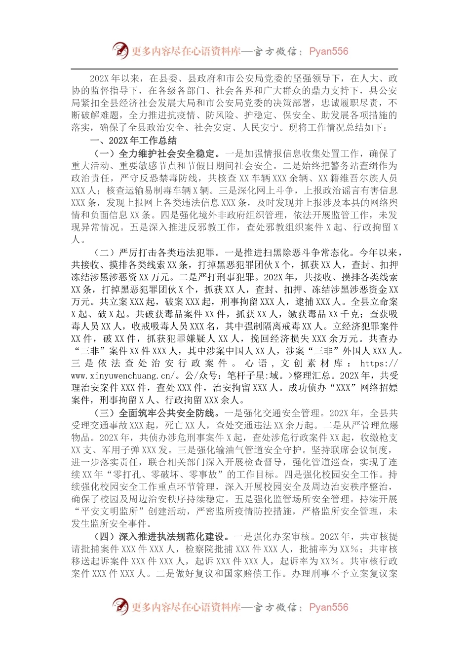 县公安局202X年度工作情况总结.docx_第1页