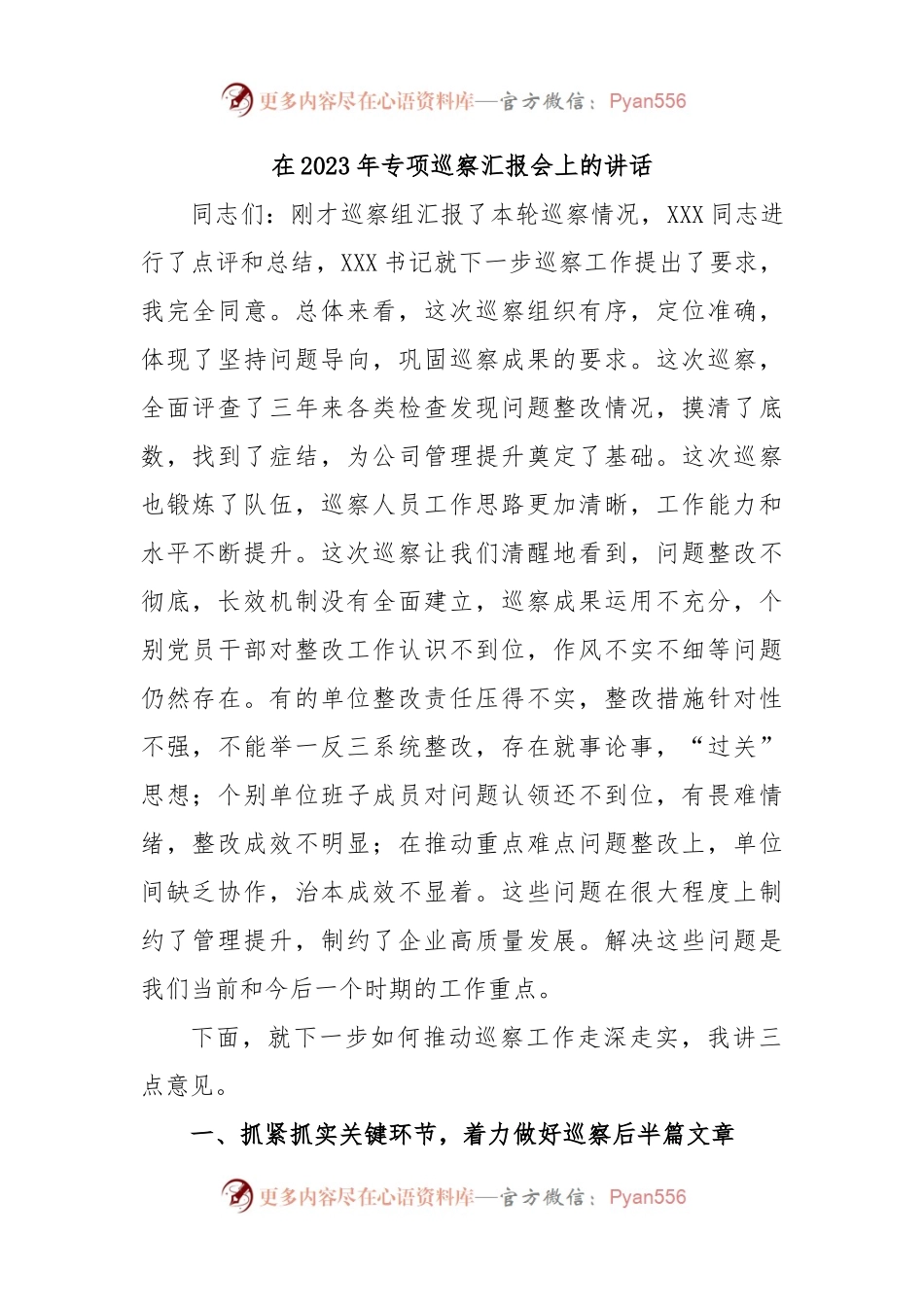 在2023年专项巡察汇报会上的讲话.docx_第1页